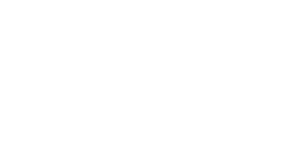 Link ECU Logo - Green Brother Racing Ltd, Mt Maunganui New Zealand