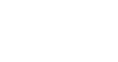 Link ECU Logo - Green Brother Racing Ltd, Mt Maunganui New Zealand