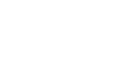 GFB Go Fast Bits